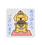 まるまるのわんこ5（個別スタンプ：1）