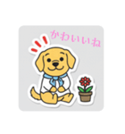 まるまるのわんこ5（個別スタンプ：10）