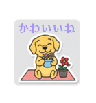 まるまるのわんこ5（個別スタンプ：11）