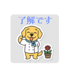 まるまるのわんこ5（個別スタンプ：17）