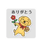 まるまるのわんこ5（個別スタンプ：24）