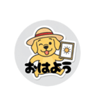 まるまるのわんこ5（個別スタンプ：36）