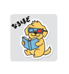 まるまるのわんこ5（個別スタンプ：37）