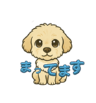 しあわせわんこだよ（個別スタンプ：6）