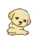 しあわせわんこだよ（個別スタンプ：10）