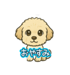 しあわせわんこだよ（個別スタンプ：13）