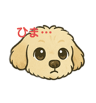 しあわせわんこだよ（個別スタンプ：15）