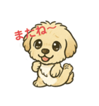 しあわせわんこだよ（個別スタンプ：16）