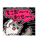 ノルウェージャンフォレストキャットです 2（個別スタンプ：5）