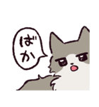 ノルウェージャンフォレストキャットです 2（個別スタンプ：7）