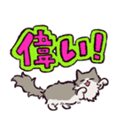 ノルウェージャンフォレストキャットです 2（個別スタンプ：11）