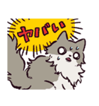 ノルウェージャンフォレストキャットです 2（個別スタンプ：13）