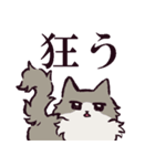 ノルウェージャンフォレストキャットです 2（個別スタンプ：40）