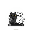まるまるのねこちゃんち（個別スタンプ：38）