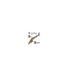 .FISH その1（個別スタンプ：10）