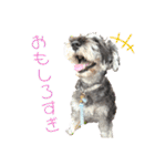 ミニチュアシュナウザーあんこのスタンプ（個別スタンプ：8）