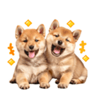 毎日♡柴犬日和（個別スタンプ：2）