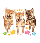 毎日♡柴犬日和（個別スタンプ：3）