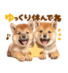 毎日♡柴犬日和（個別スタンプ：4）