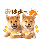 毎日♡柴犬日和（個別スタンプ：5）