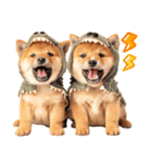 毎日♡柴犬日和（個別スタンプ：7）