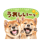 毎日♡柴犬日和（個別スタンプ：9）