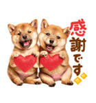 毎日♡柴犬日和（個別スタンプ：13）