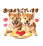 毎日♡柴犬日和（個別スタンプ：17）