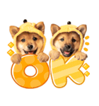 毎日♡柴犬日和（個別スタンプ：19）