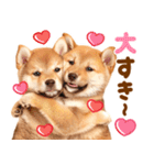 毎日♡柴犬日和（個別スタンプ：22）