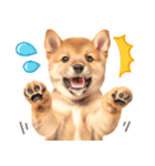 毎日♡柴犬日和（個別スタンプ：23）