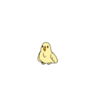 ミニミニ鳥スタンプ（個別スタンプ：38）