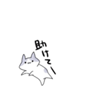 語彙力無いネコ（個別スタンプ：4）