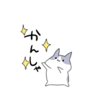 語彙力無いネコ（個別スタンプ：13）
