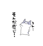 語彙力無いネコ（個別スタンプ：14）
