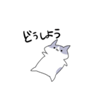 語彙力無いネコ（個別スタンプ：16）