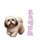 ラサアプソと一緒の日常（個別スタンプ：2）