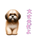 ラサアプソと一緒の日常（個別スタンプ：3）