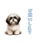 ラサアプソと一緒の日常（個別スタンプ：5）