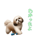ラサアプソと一緒の日常（個別スタンプ：8）