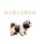 ラサアプソと一緒の日常（個別スタンプ：15）