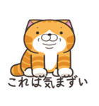 ランラン猫 32 (日本語)（個別スタンプ：3）