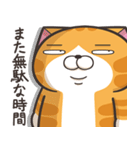 ランラン猫 32 (日本語)（個別スタンプ：4）