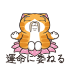 ランラン猫 32 (日本語)（個別スタンプ：14）