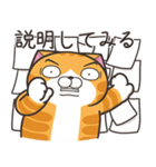 ランラン猫 32 (日本語)（個別スタンプ：30）