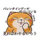 ランラン猫 32 (日本語)（個別スタンプ：40）