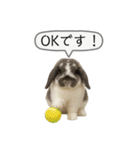 うさンプ:mochi（敬語）1（個別スタンプ：4）