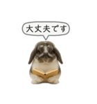 うさンプ:mochi（敬語）1（個別スタンプ：5）