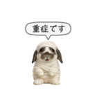 うさンプ:mochi（敬語）1（個別スタンプ：6）