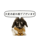 うさンプ:mochi（敬語）1（個別スタンプ：7）